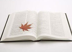 巴黎圣日耳曼前锋连续进球创佳绩