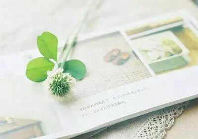 亚洲球队在锦标赛中取得胜利：从汗水到荣耀的全景故事